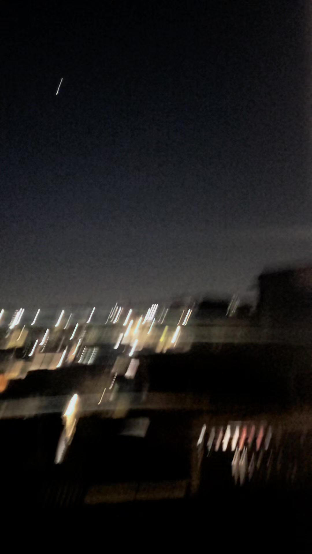 @Fernanda Bellarmino