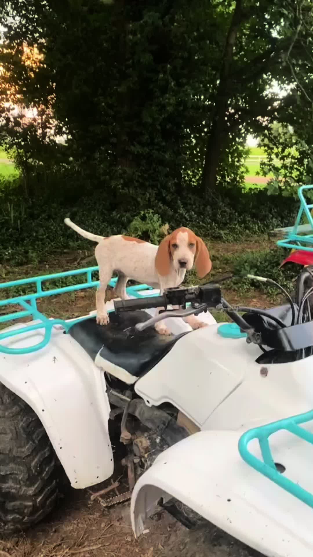 @dat_kx450