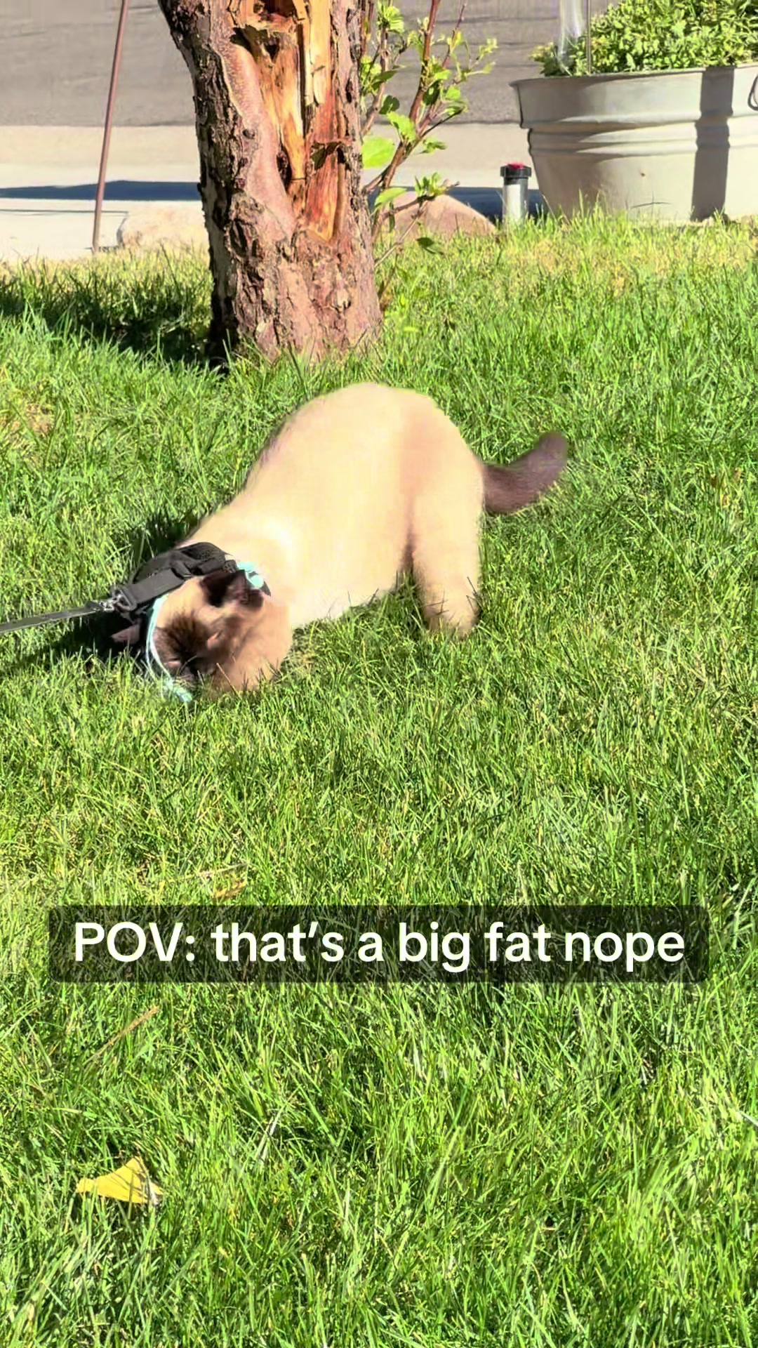 @SkippyJosAdventures