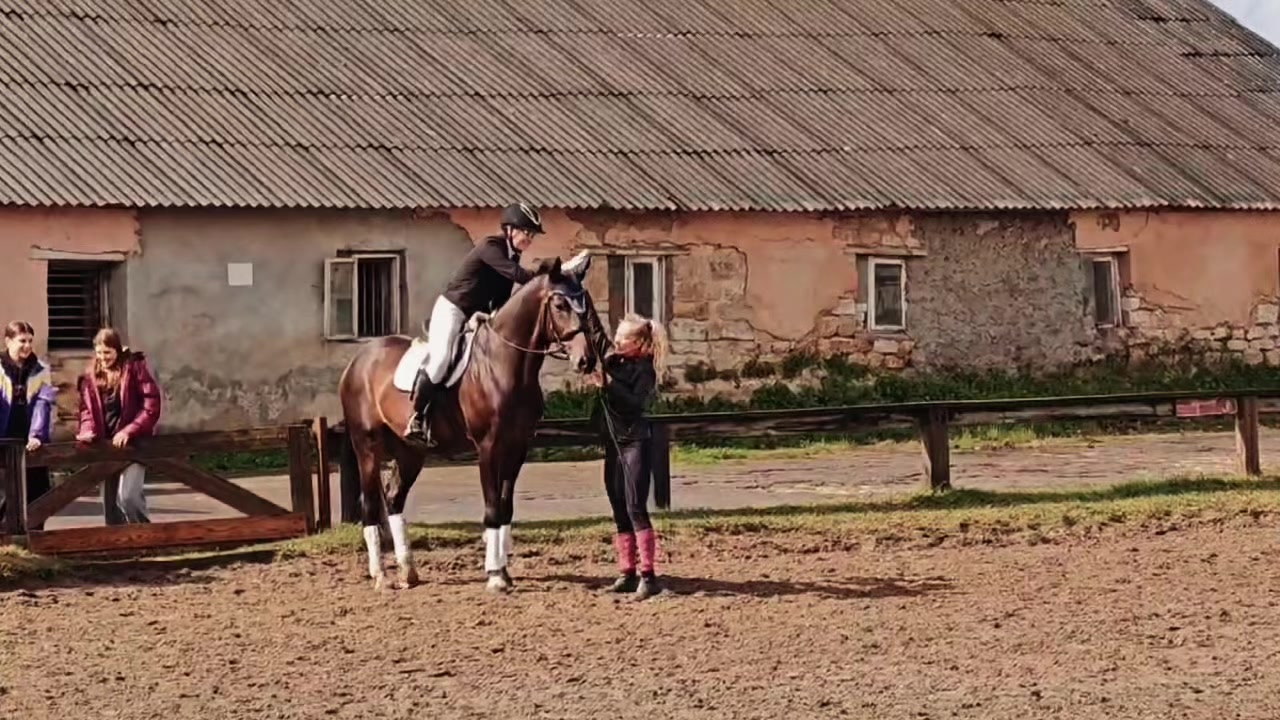 @пыликуснул