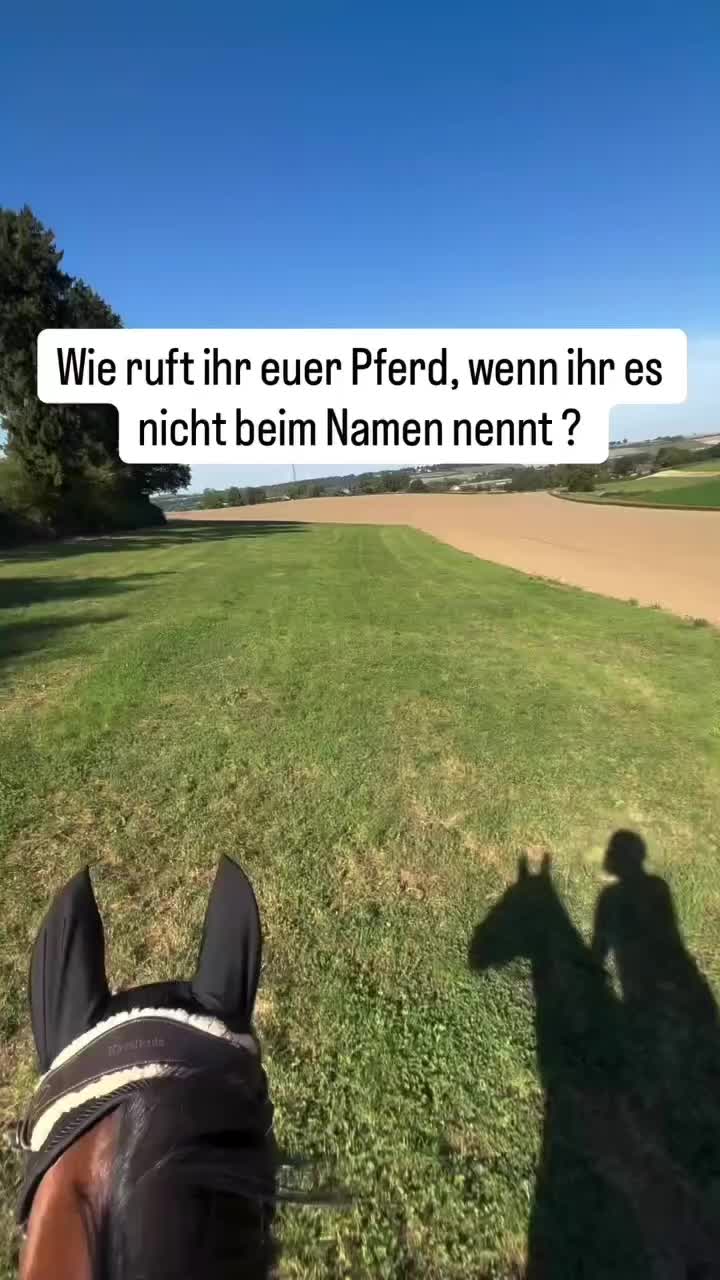 @ne.horses