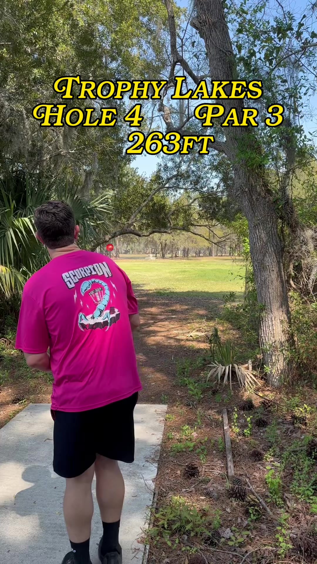 @HoustonWeHaveDiscGolf
