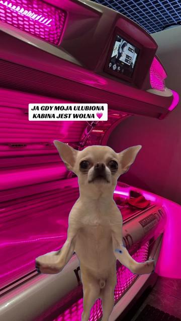 @Claudia