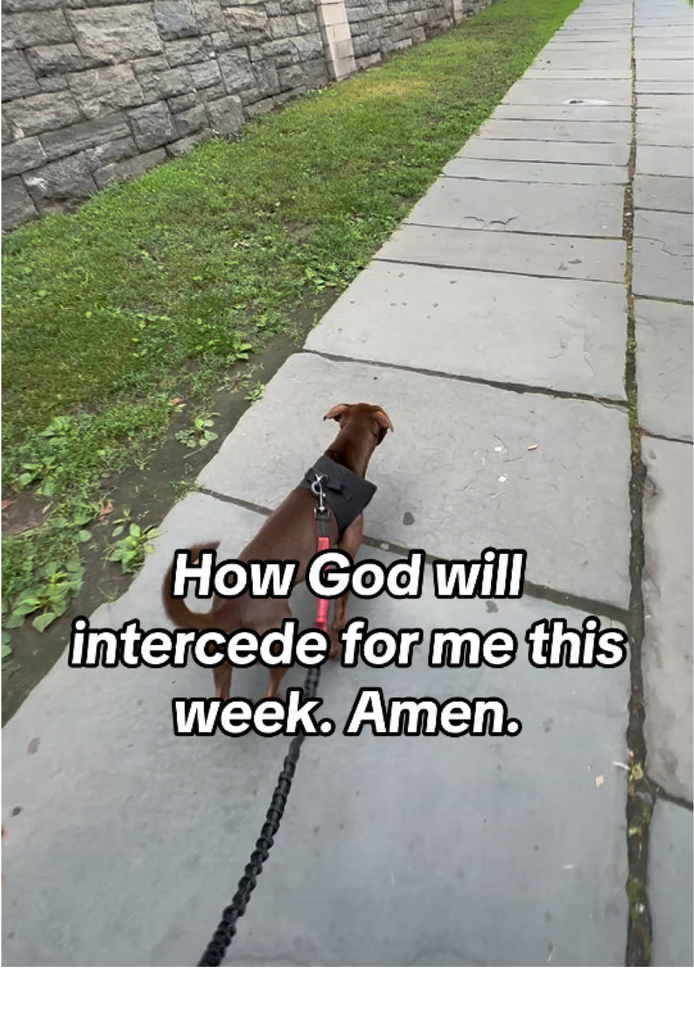 @betterwithcharley
