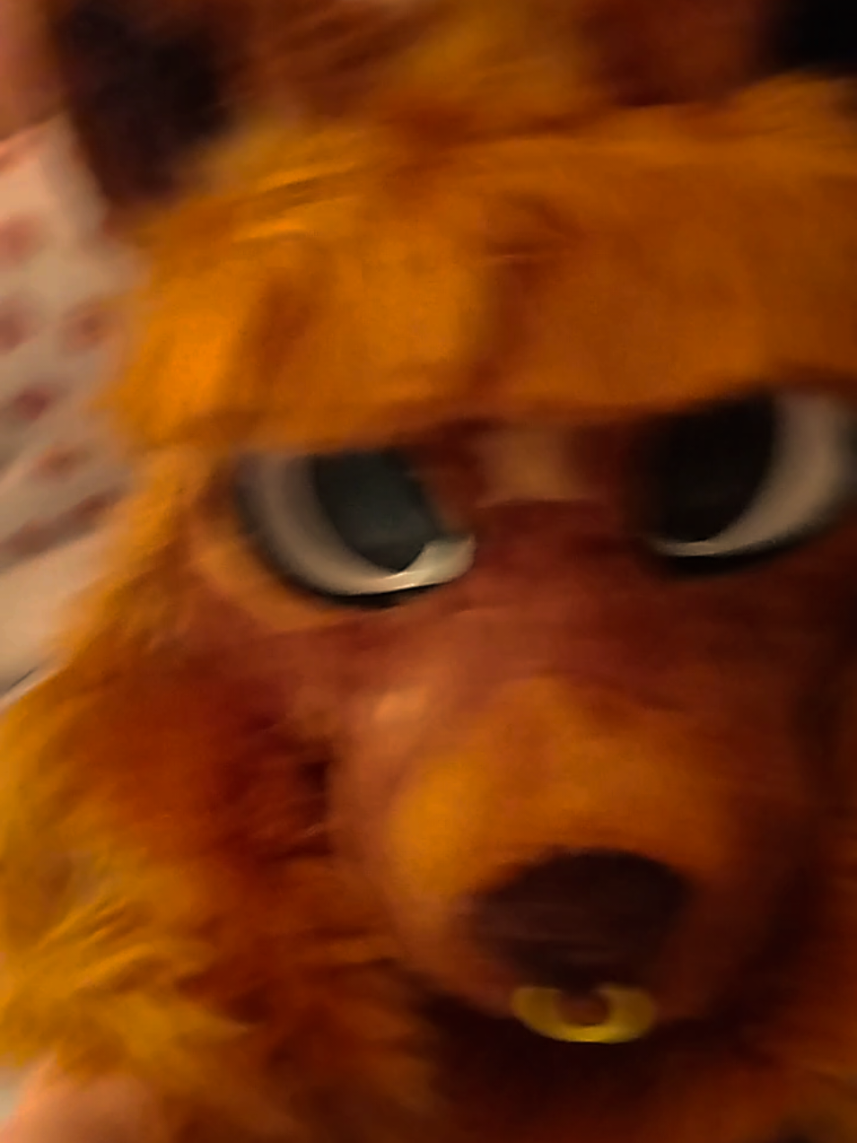 @𝙍𝙞𝙡𝙠𝙖 🦊