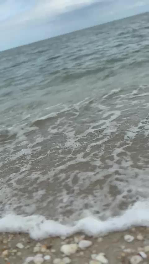 @shangkaran