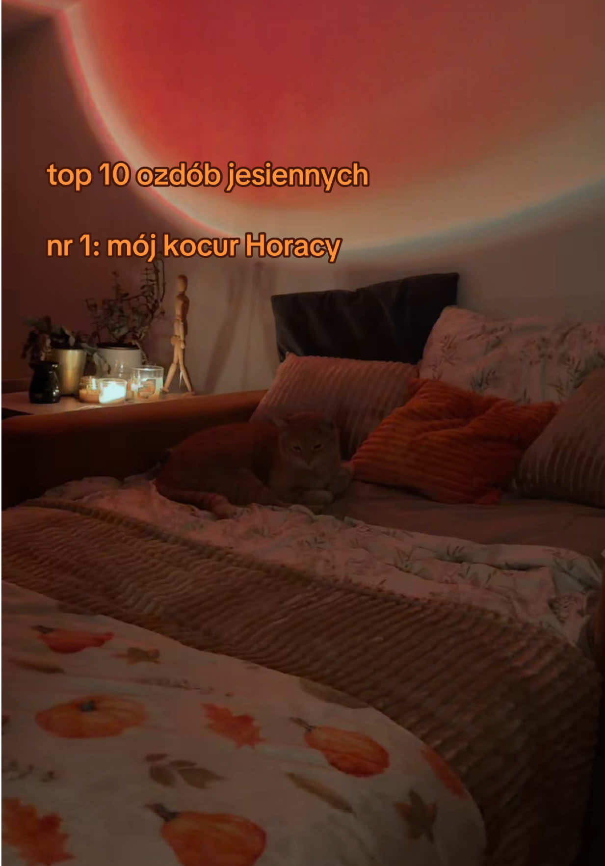 @Zochasia<3