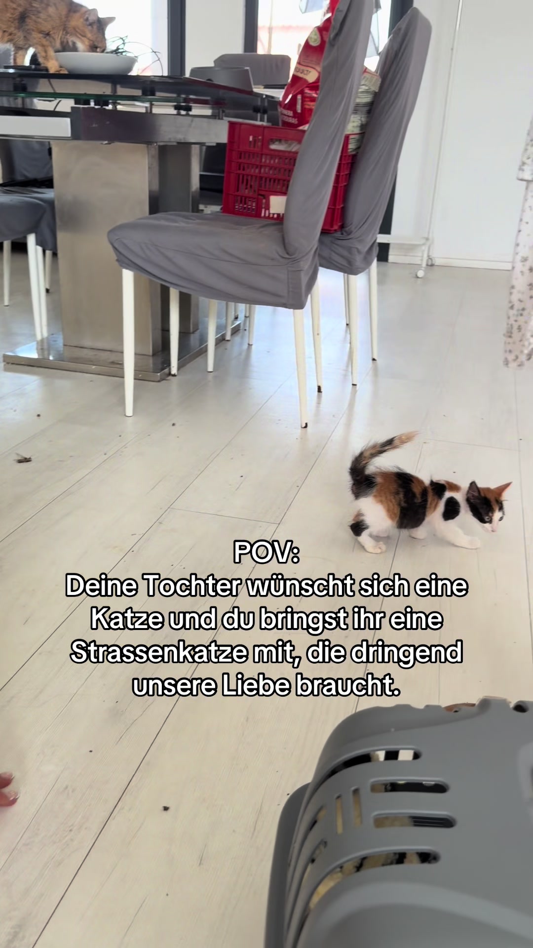 @Anne W&uuml;nsche