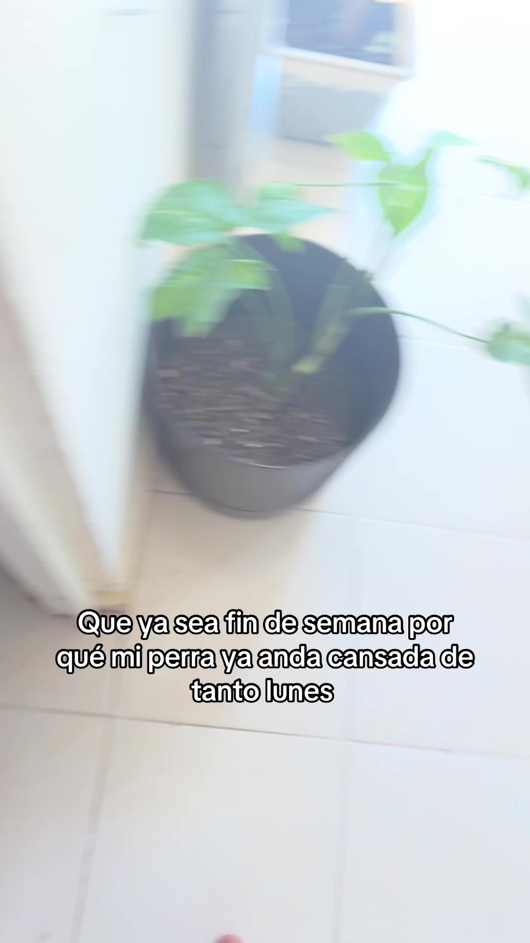 @Claudinis