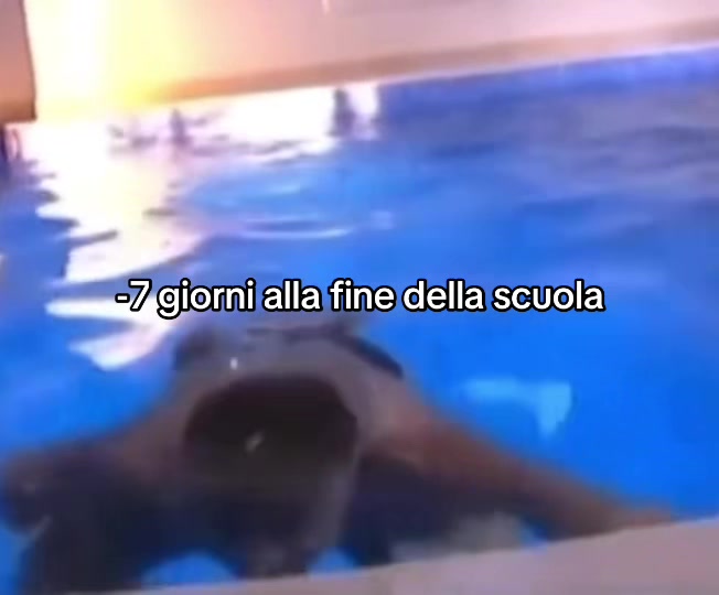 @ergoblino