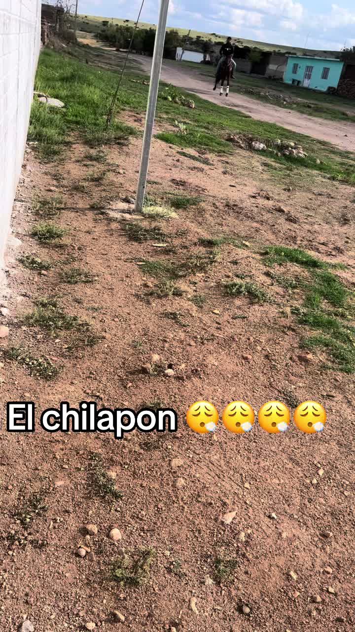 @Samuel Sánchez el sammy 😈😈👻