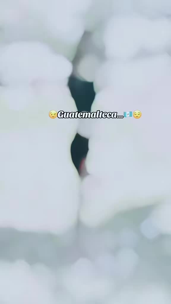 @๐๐ธ๐ปLa_Flaquita_(๐ฌ๐น๐ป)
