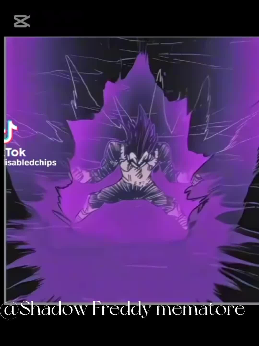 @GOGETA SSJ4 RANTS E MEME