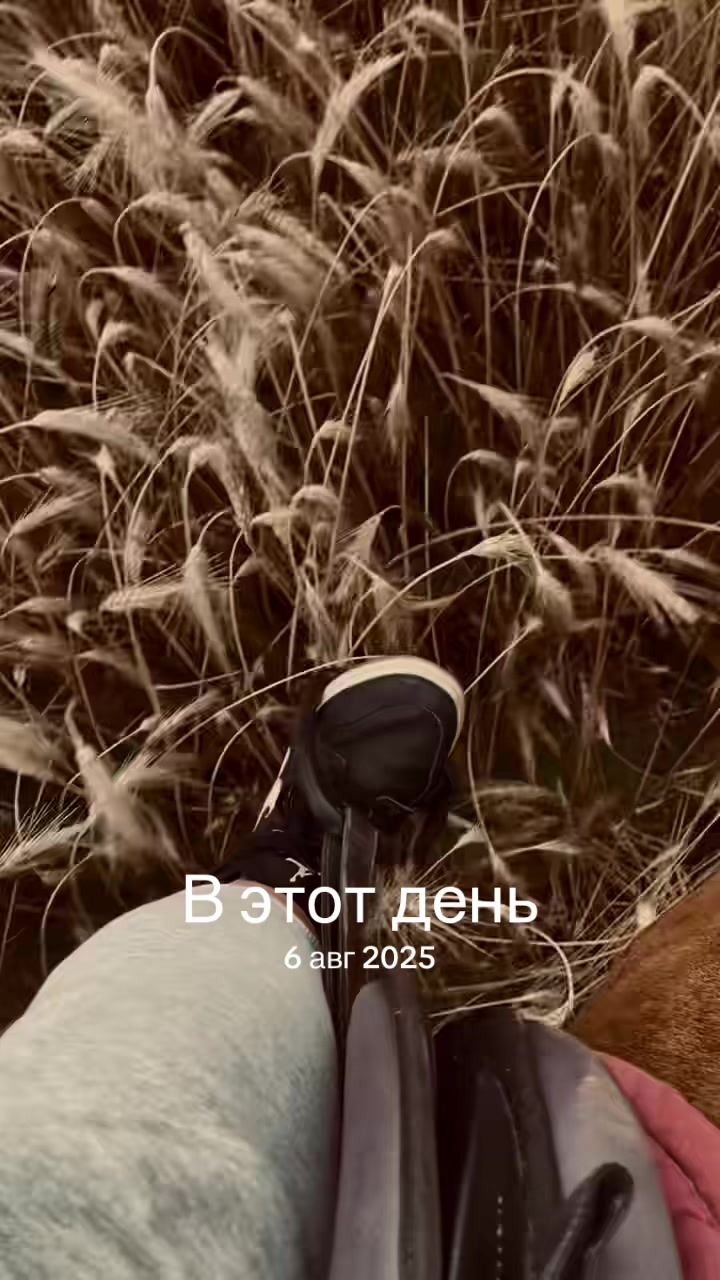 @umago.vitebsk