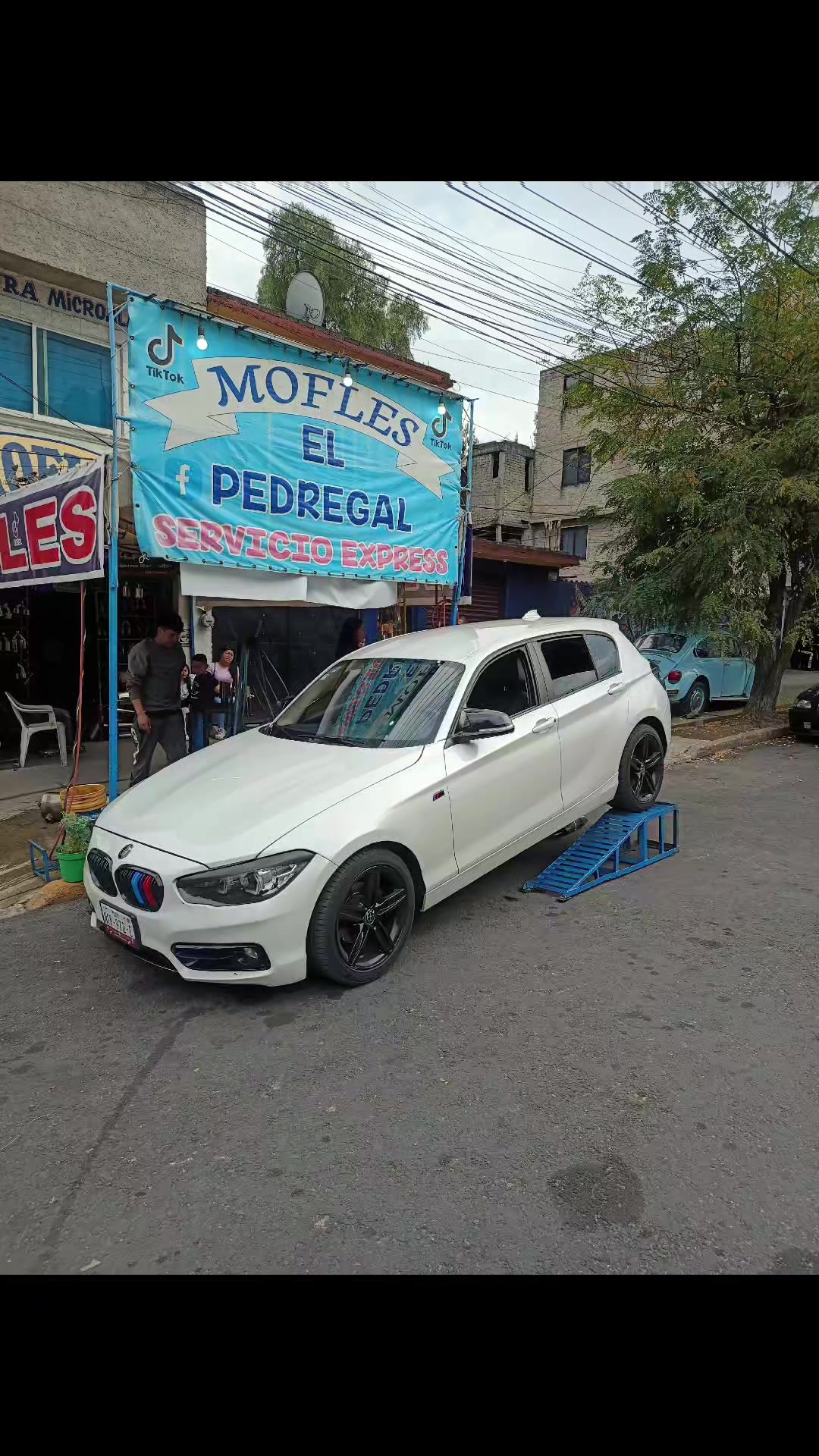 @Mofleselpedregal_1