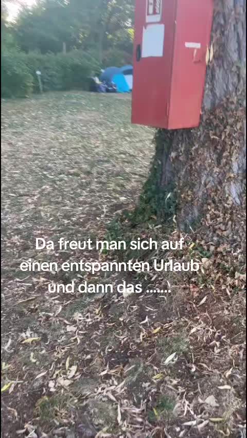 @Melli