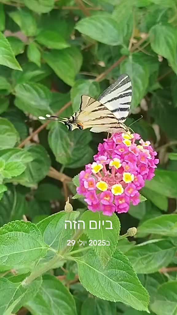 @י