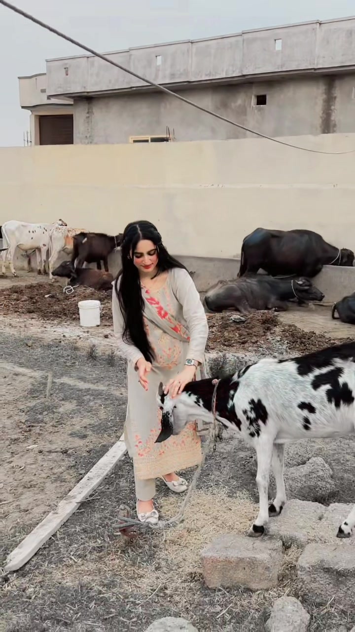 @Muneeba khan
