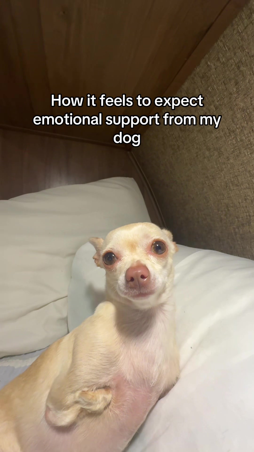 @Gio + Emmy