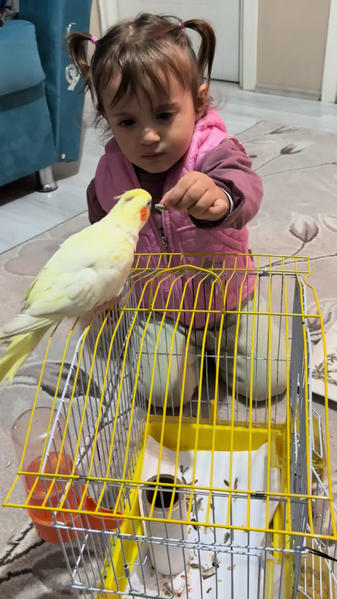@yaseminn.ebe