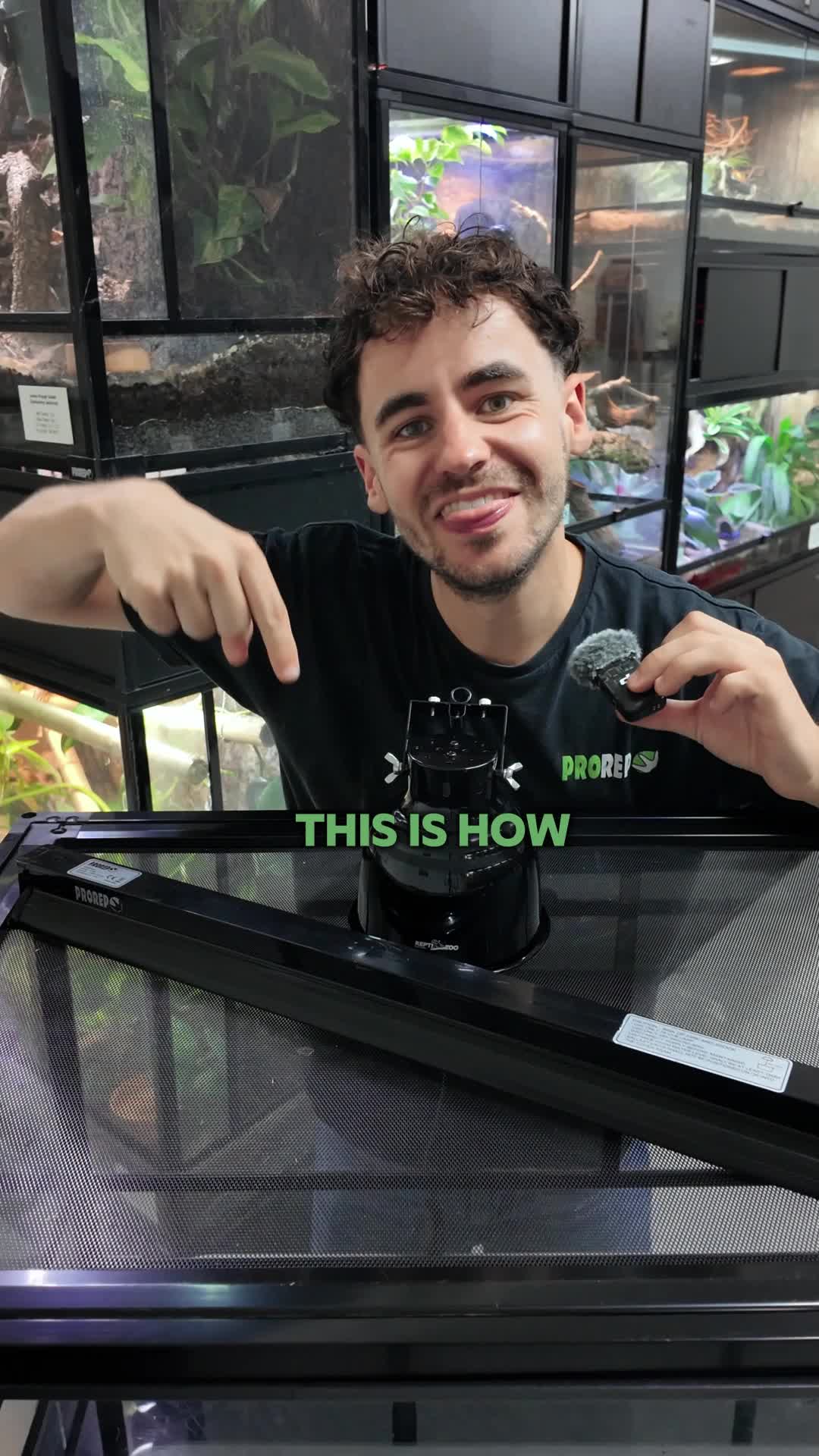 @prorep_reptile