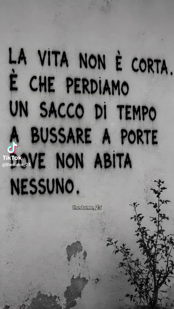 @perimazza1981