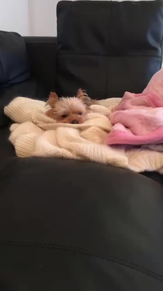 @紗蘭
