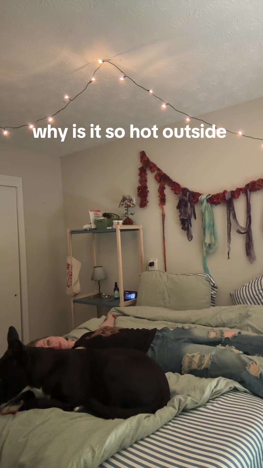@dillydipped