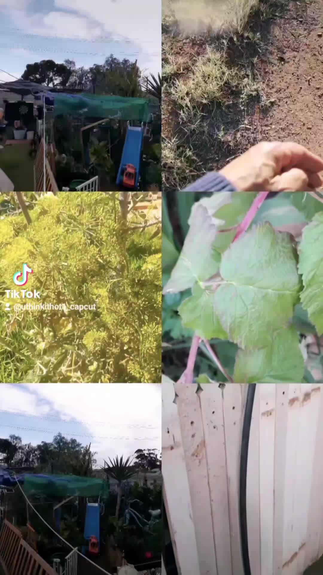 @Uthinkithot_Capcut organic