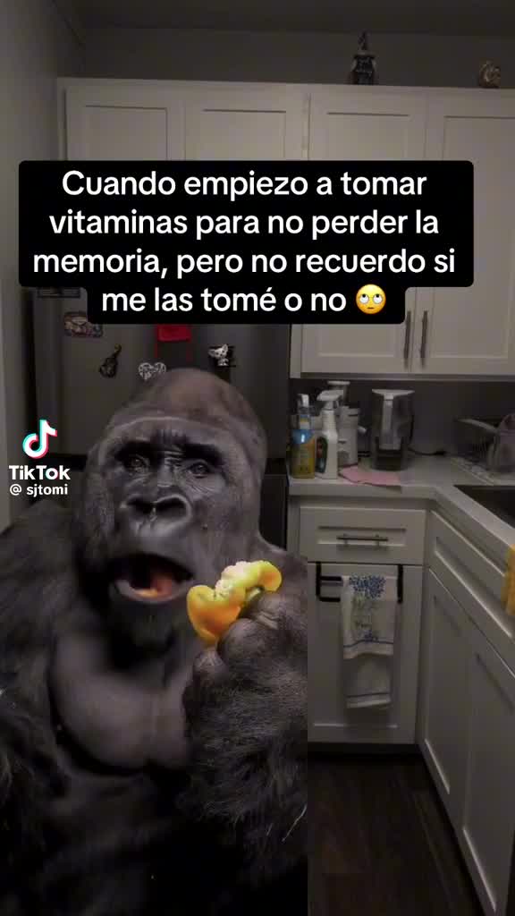 @Marisol504