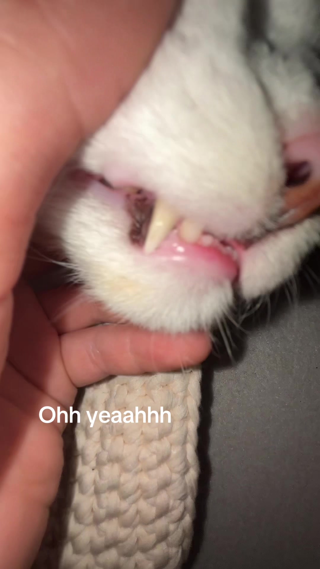 @𝐔𝐬𝐞𝐫.𝟑𝟗🪷
