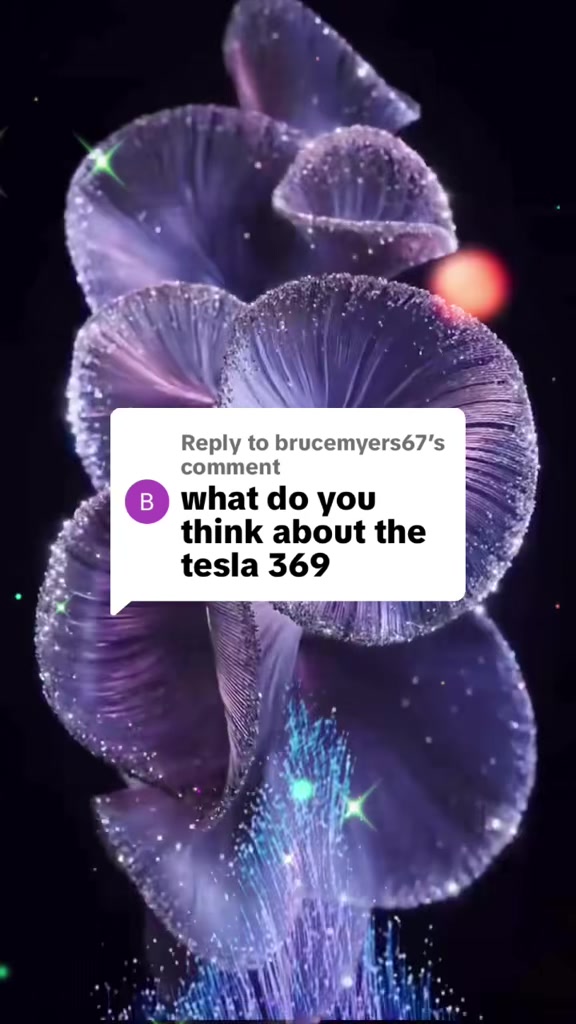 @bebeandthefirstwave2