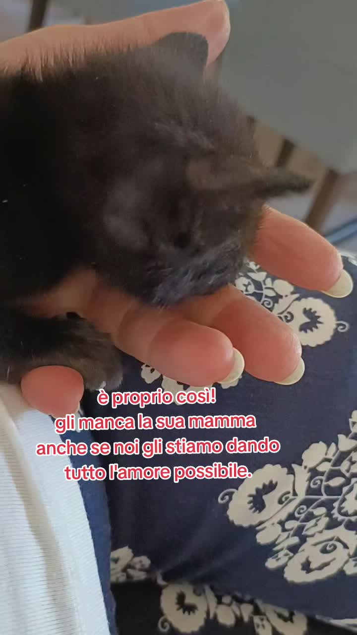 @vincenza