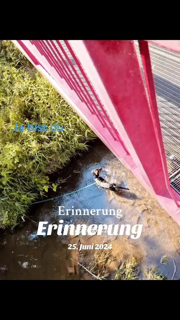 @Freiwildmama20