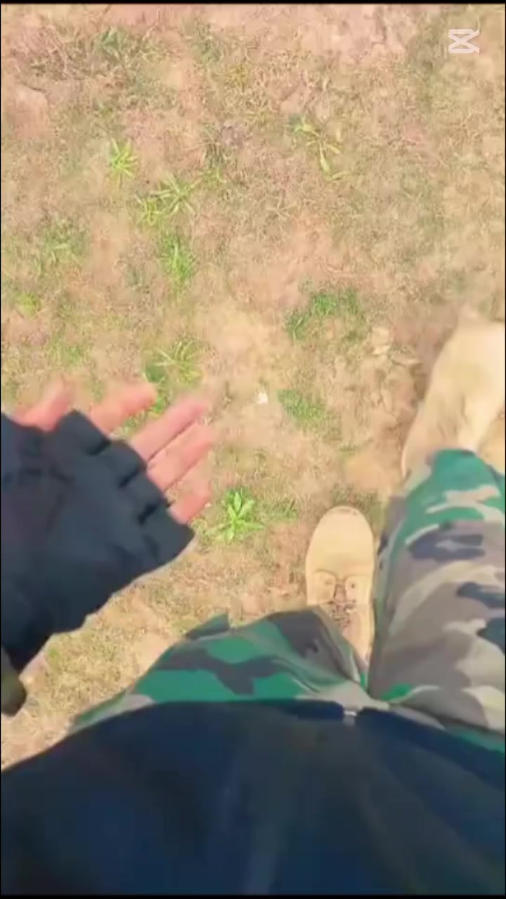 @SSG_COMMANDO