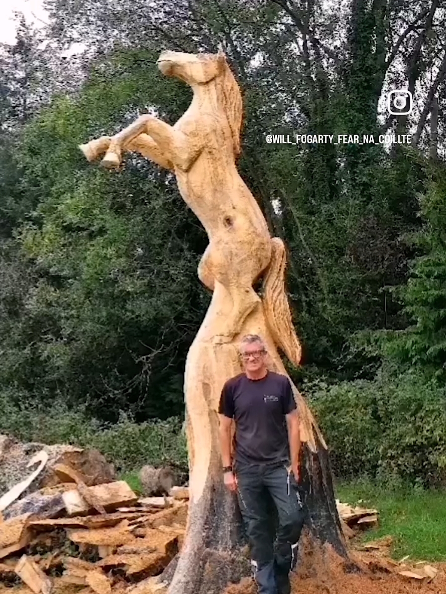 @Will Fogarty Fear na Coillte