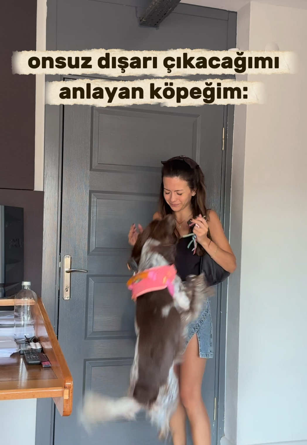 @egevemini