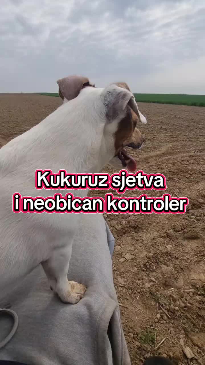 @Balkanac