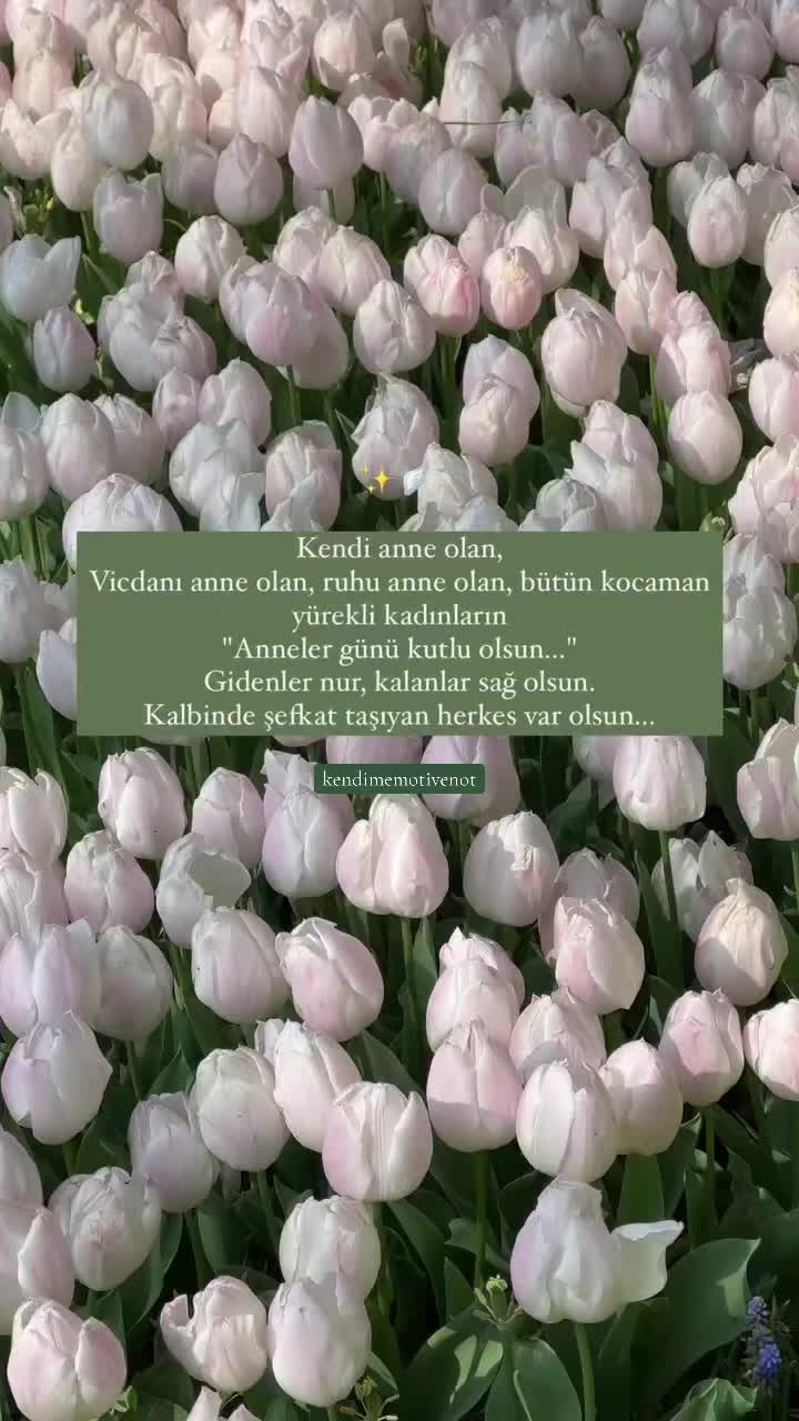 @kendimenot.
