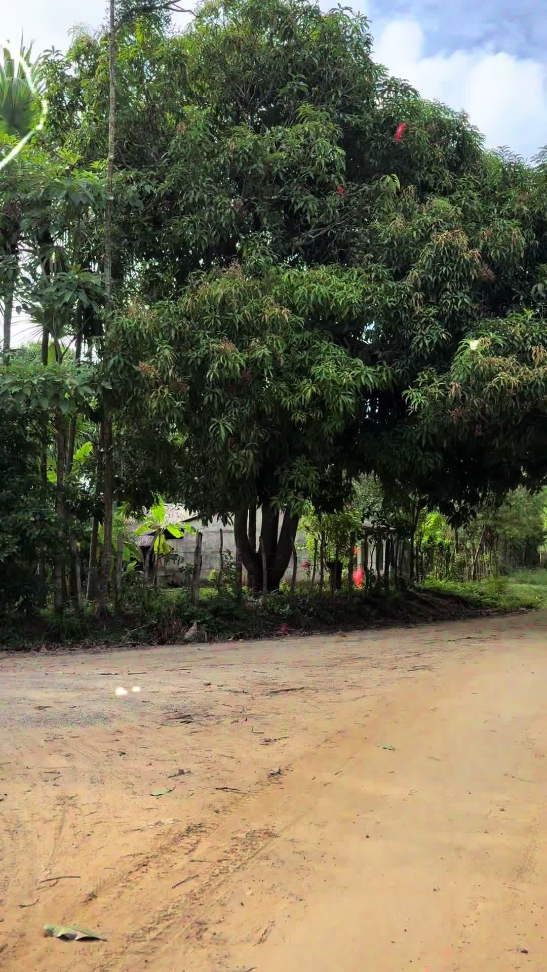@EiverBaqueroContenidos