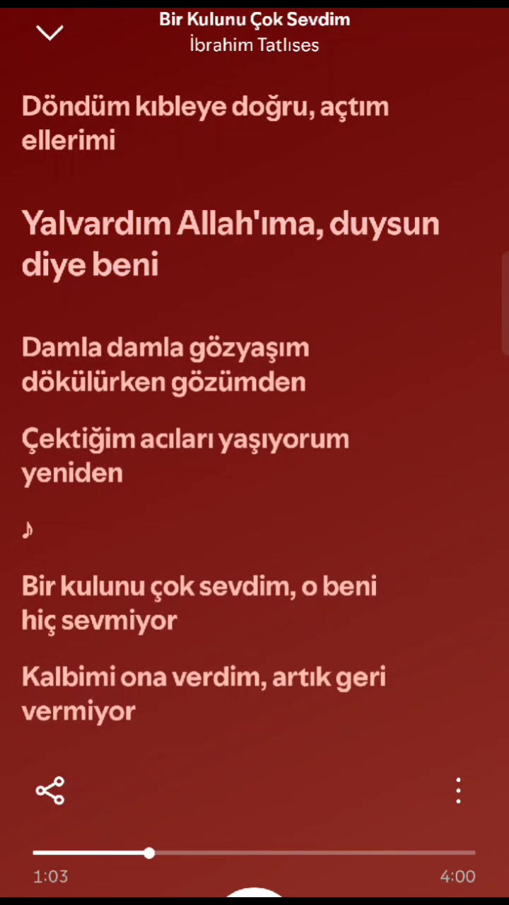 @iremmrck