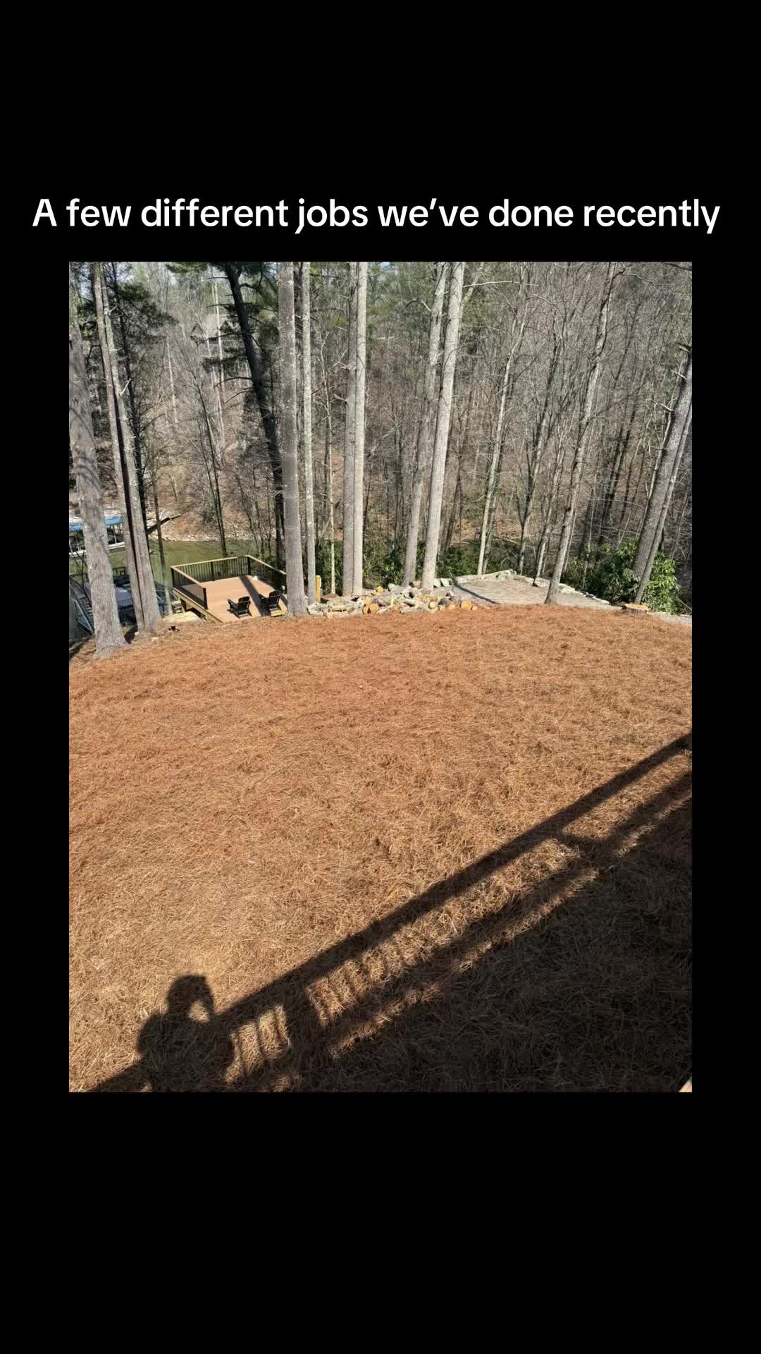 @TNE Lawn and Trimming