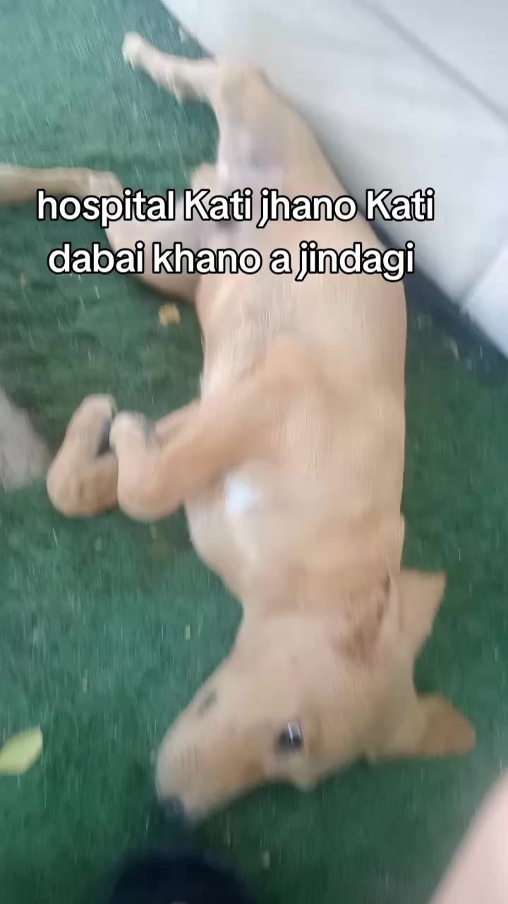 @Rana Bahadur Rai