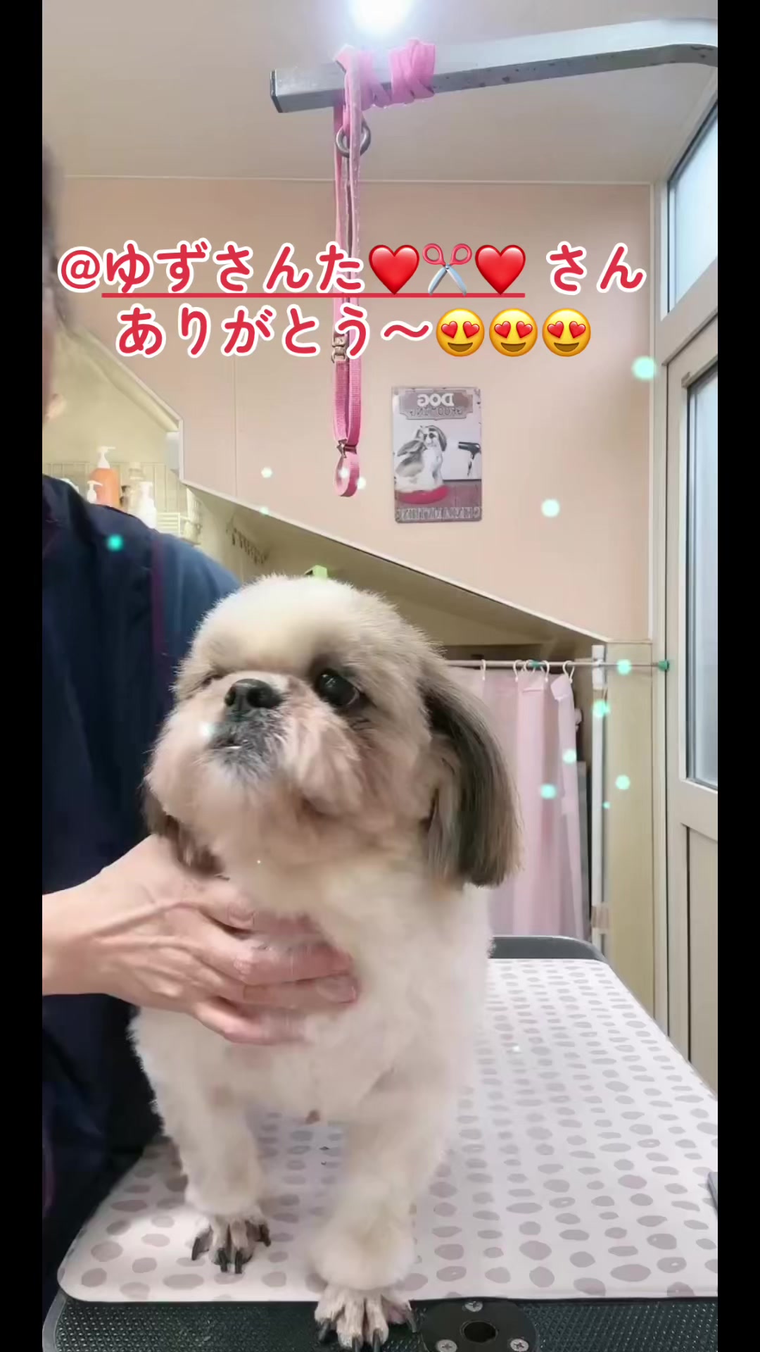 @❤️ぷりママ❤️