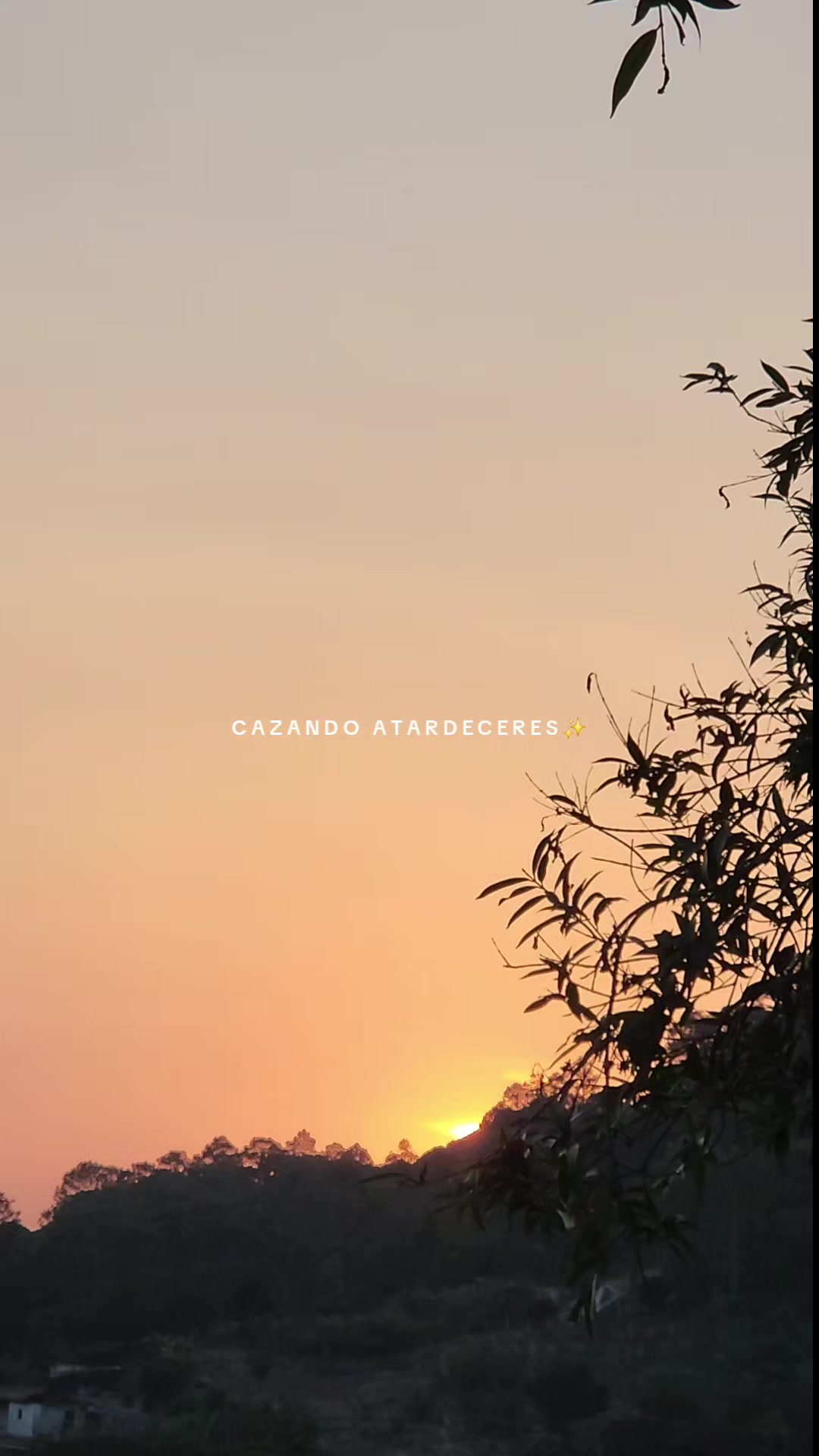 @✓ Cazando Atardecer_ 🌄☀️❤️🔥