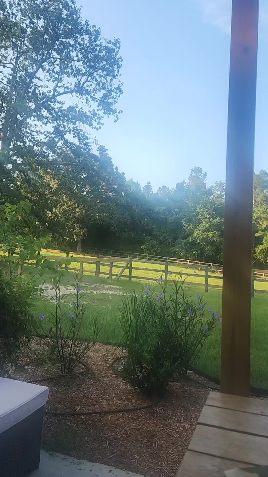 @Almost Perfect Acres