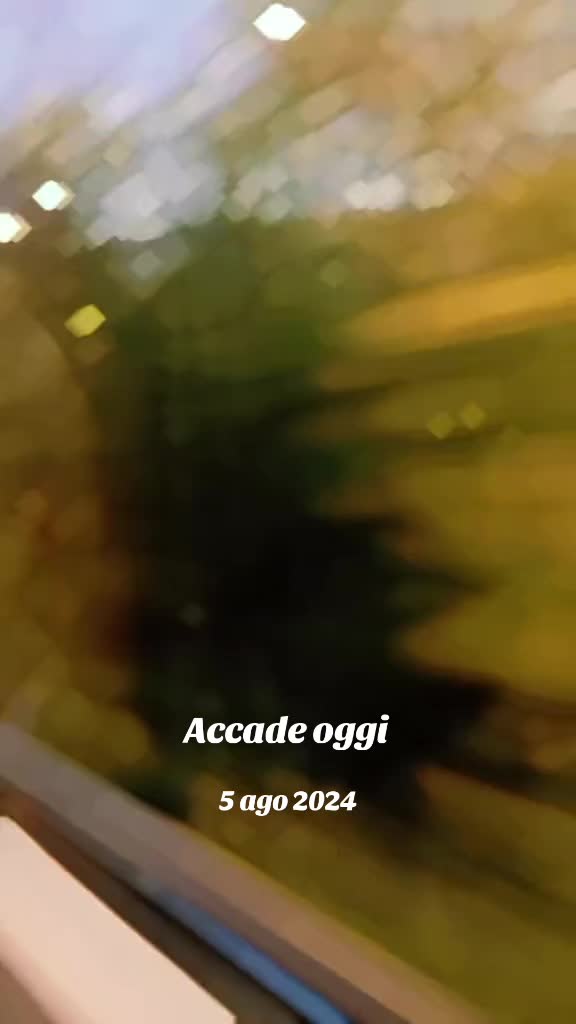 @elisabettacarucci