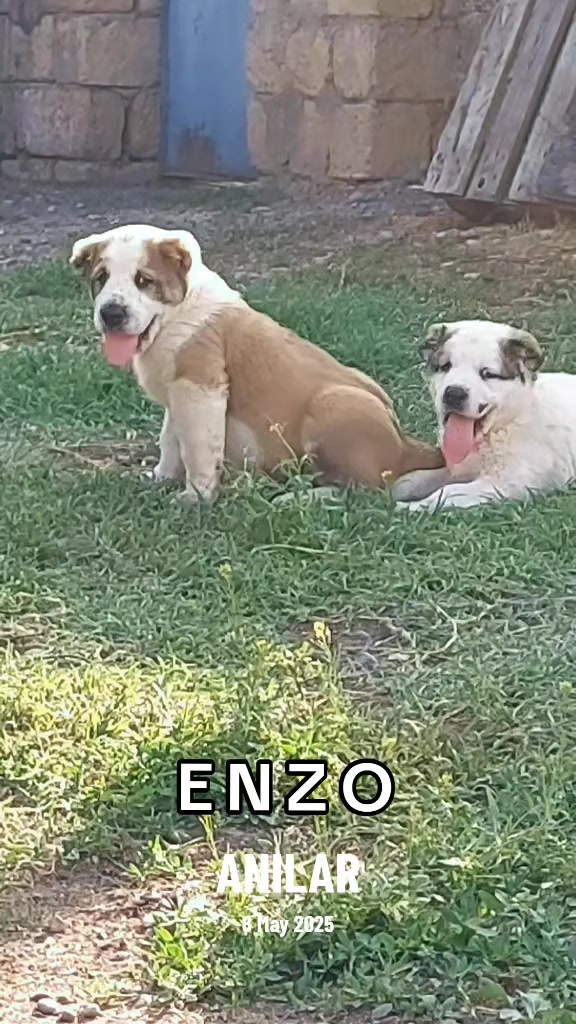 @Elşad__007