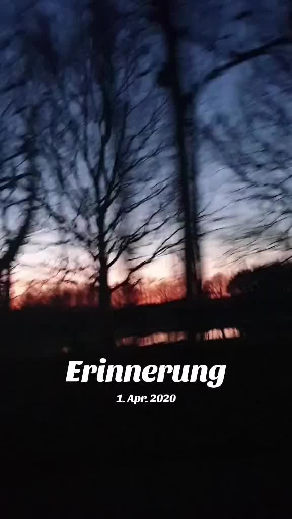@Sarah Hennemann
