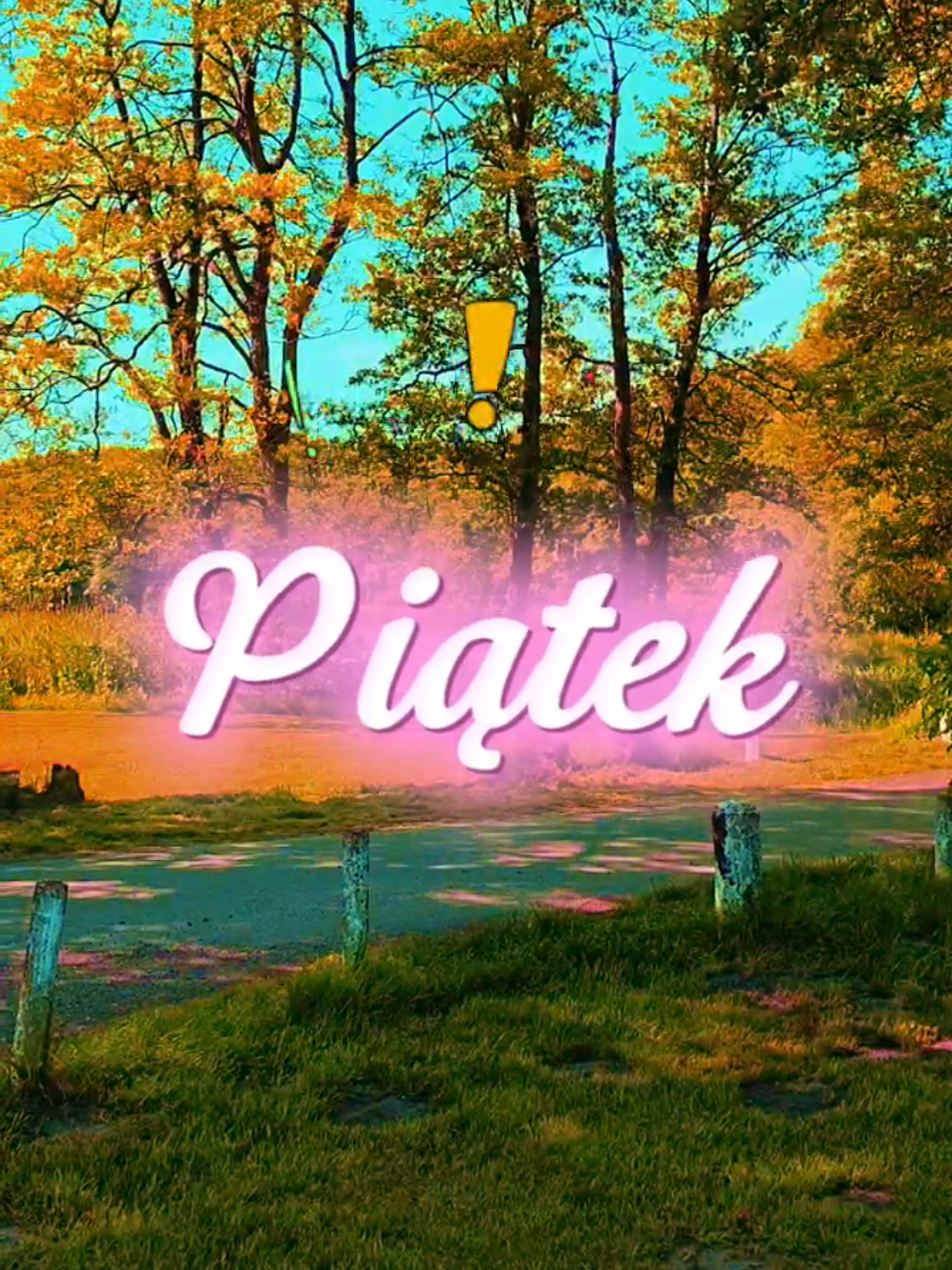 @Made by Marek 🇵🇱🇩🇪😎